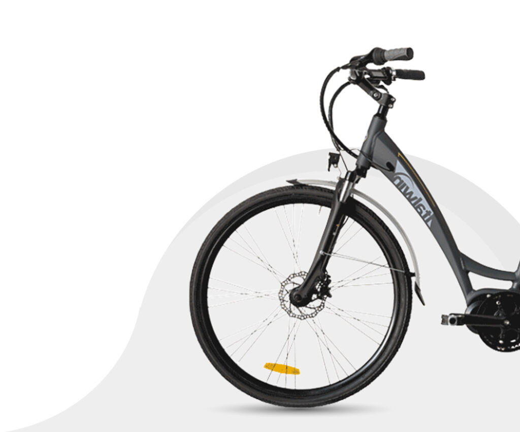 Pearl Lite Italwin La bici elettrica